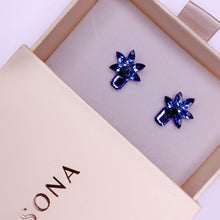 Load image into Gallery viewer, OctaMINIS